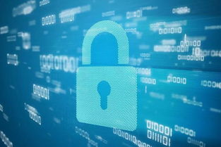 互联网信息海洋中的慧眼 如何有效辨别网站真伪与信息可信度